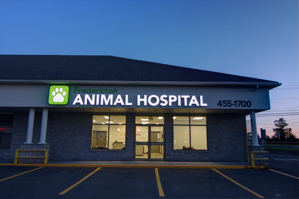 FREDERICTON ANIMAL HOSPITAL Updated July 2024 1012 Prospect Street