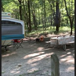 Dunewood Camp Ground - Wooded campsites