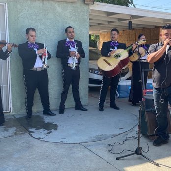 Mariachi Del Sur - Mariachi del Sur - Musicians Near Me