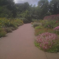 Saughton Gardens