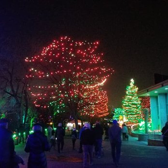 Denver Zoo Lights - Entry, amazing lights - Festivals Near Me - Denver, Colorado Denver Zoo Lights - Entry, amazing lights - Festivals Near Me - Denver, Colorado