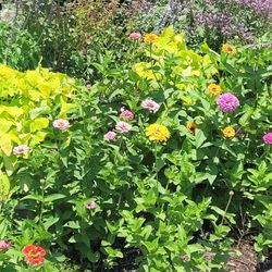 Sanders Nursery & Distribution Center