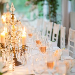Karina Lemke Weddings
