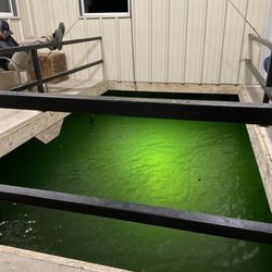 Llanorado Lodge & Bait Shop - Fishing