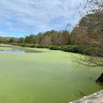 Brazos Bend State Park - creek field Lake - Parks Near Me - Needville, Texas