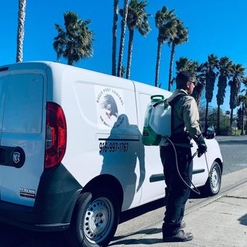 Eagle Pest Control - Pest Control Near Me - Sacramento, California Eagle Pest Control - Pest Control Near Me - Sacramento, California