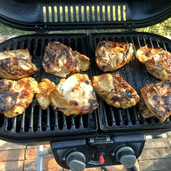 San Antonio KOA - My yard bird. - Campgrounds Near Me - San Antonio, Texas