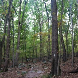 White trail at Rocks State Park.