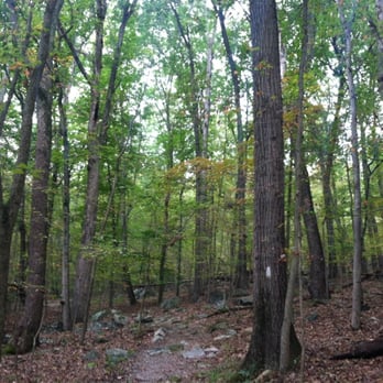 Rocks State Park  - White trail at Rocks State Park. - Parks Near Me - Jarrettsville, Maryland