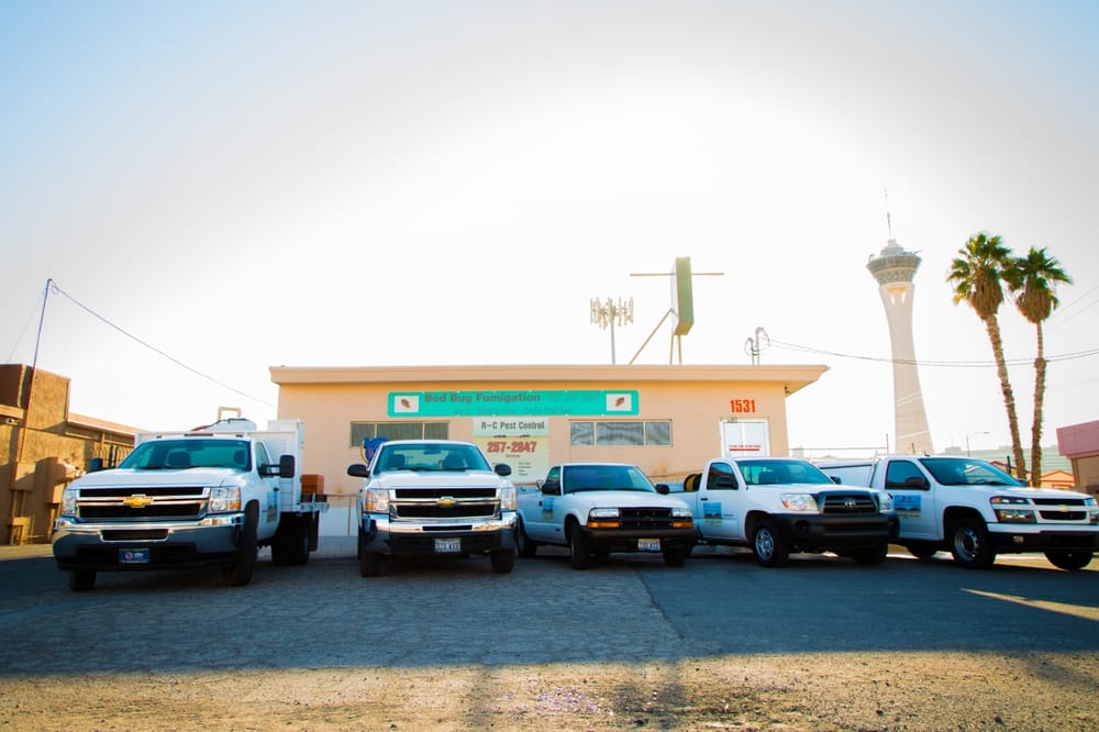 R AND C PEST CONTROL Updated October 2024 25 Reviews 911 American Pacific Dr, Henderson