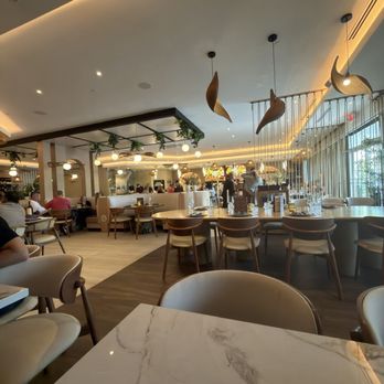 Ember & Vine - View from our table - Mediterranean Near Me - Coral Springs, Florida Ember & Vine - View from our table - Mediterranean Near Me - Coral Springs, Florida
