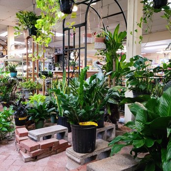 Wolf Trap Nursery - Nurseries & Gardening Near Me - Vienna, Virginia