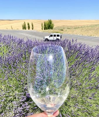 Long Shadows Winery by null