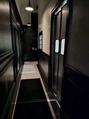 The Black Cat by null The Black Cat by null