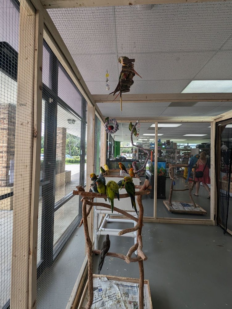 AMAZON JUNGLE Updated October 2024 66 Photos & 14 Reviews 557 S