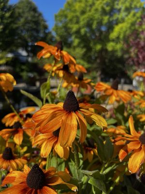 The North Carolina Arboretum by null