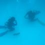 Aiyanar Beach and Dive Resort