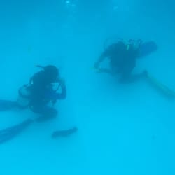 Aiyanar Beach and Dive Resort - Going over the hand signals
