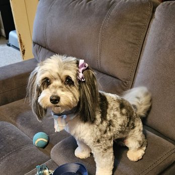 Ruby’s Pawrlor - Pet Groomers Near Me - Anaheim, California