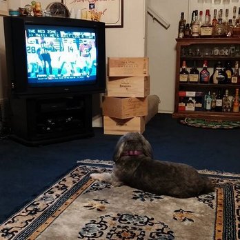 Compassionate Care Pet Services - Watchin' the Cowboys. - Pet Hospice Near Me Compassionate Care Pet Services - Watchin' the Cowboys. - Pet Hospice Near Me