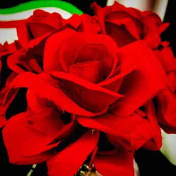 Encanto Tacos & Micheladas - Roses by the register - Tacos Near Me - Corona, California Encanto Tacos & Micheladas - Roses by the register - Tacos Near Me - Corona, California