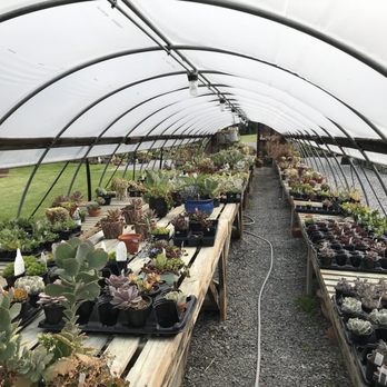 Surreybrooke - Nurseries & Gardening Near Me - Middletown, Maryland