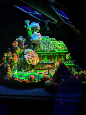 Electric Ladyland - Museum of Fluorescent Art by null