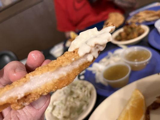 Huck's Catfish by null