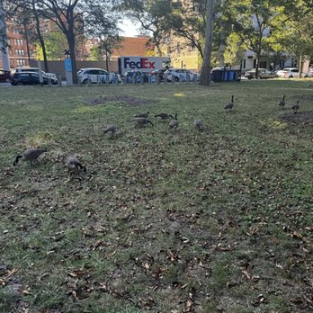 Lincoln Park - Parks Near Me - Chicago, Illinois