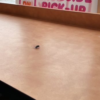 Dunkin' - Horsefly. No pets?! - Donuts Near Me - Hopewell Junction, New York Dunkin' - Horsefly. No pets?! - Donuts Near Me - Hopewell Junction, New York