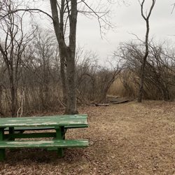 Proctor Farm Conservation Area - bench