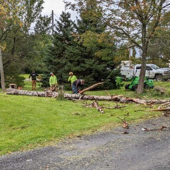 Kodiak Tree Service - Tree Services Near Me - Newfield, New York