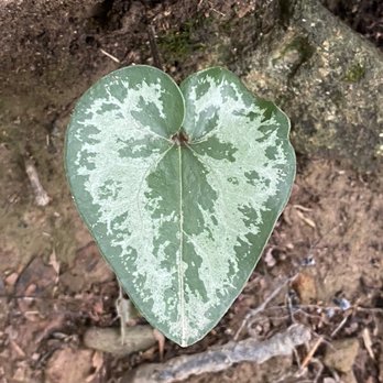 Eno River State Park - Parks Near Me - Durham, North Carolina