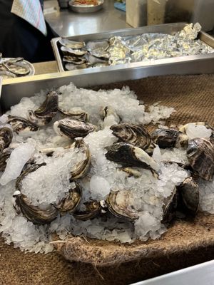 The Oyster Inn by null