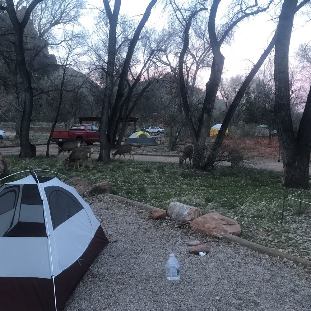 Watchman Campground - Campgrounds Near Me - Springdale, Utah Watchman Campground - Campgrounds Near Me - Springdale, Utah