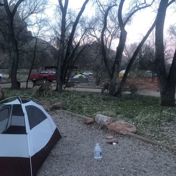 Watchman Campground - Campgrounds Near Me - Springdale, Utah