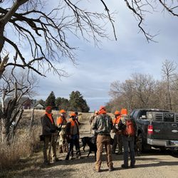 Rieger Creek Lodge - The end is a creek bed hunt.
