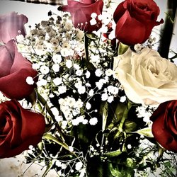 Judi's Flowers