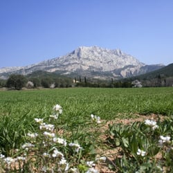 Montagne Sainte-Victoire - Montagne Sainte-Victoire