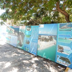 Tortuganja / Turtle Farm