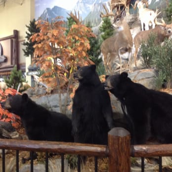 Cabela's - Several displays of wildlife through the store - Outdoor Gear Near Me - Edmonton, Alberta Cabela's - Several displays of wildlife through the store - Outdoor Gear Near Me - Edmonton, Alberta