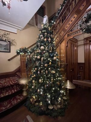 The Victorian Belle Mansion by null