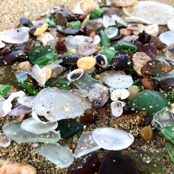Montara State Beach - Montara State Beach