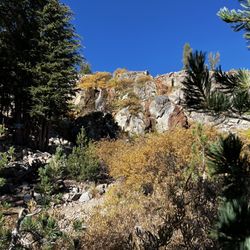 Mt Rose Hike - Gelana Waterfal
