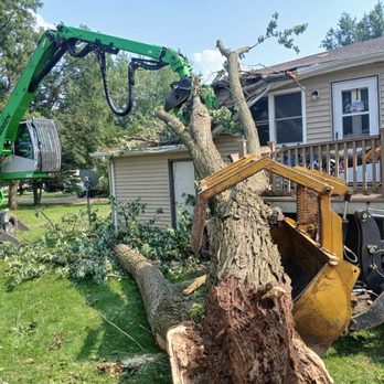 Schwebach Tree Service - Tree Services Near Me - Sioux Center, Iowa