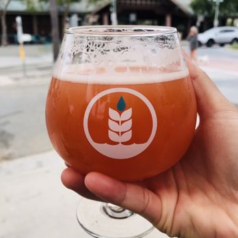 Pure Project - Carlsbad - Yummy beer - Breweries Near Me - Carlsbad, California Pure Project - Carlsbad - Yummy beer - Breweries Near Me - Carlsbad, California