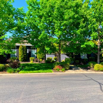 Economy Tree Service - Front of House - Tree Services Near Me