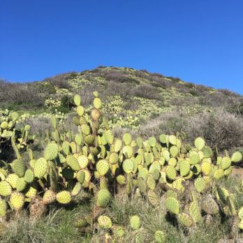 Leo Carrillo State Park - Parks Near Me - Malibu, California Leo Carrillo State Park - Parks Near Me - Malibu, California
