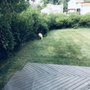 W.D.B. Landscaping