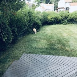 W.D.B. Landscaping